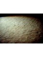 Chenonceaux terracotta floor tiles