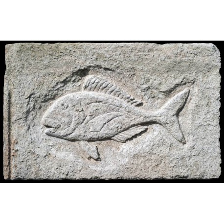 Stone bas-relief GILTHEAD