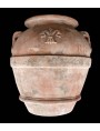Olive oli jares H.90cms - terracotta made in Italy
