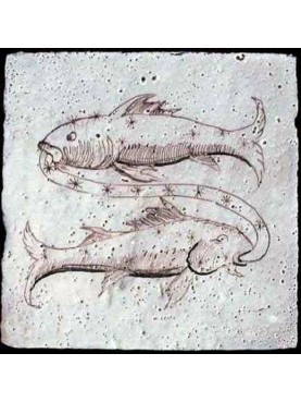 Pisces Zodiac Sign
