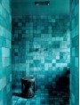 Berber Tiles in Giorgio's bathroom