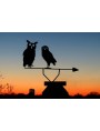 European Burrowing Owl and the Owls double windvane