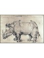 Rinoceronte stampa del Durer del 1515