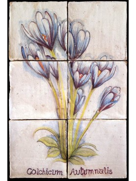 Pannello maiolicato fiori Colchicum