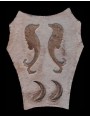 Sand stone coat of arms with dolphins
