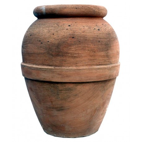 Tuscan's jare H.61cms Minimalist