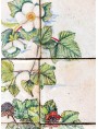 Pannello maiolicato fiori di Rovo