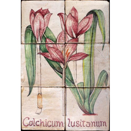 Flowers majolica panel Colchicum lusitanum