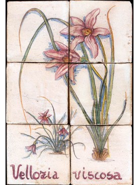 Flowers majolica panel Vellozia viscosa