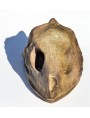 Sea Turtle Skull in terracotta