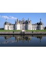Vaso del Castello di Chambord