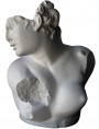 Plaster, Crouched Afrodite bust