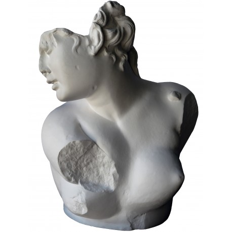 Plaster, Crouched Afrodite bust