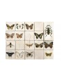 Butterfly panel with four white tiles
