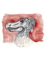 Sketches of the Dodo head