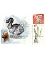 First sketches of the Dodo