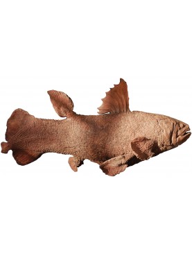 Coelacantus terracotta fish
