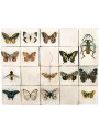 Butterflys panel