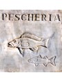 FISH SHOP insignia in white Carrara marble