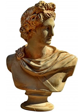 Apollo bust in terracotta "Apollo of the Belvedere" Pythian Apollo
