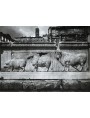 Plutei di Traiano, gli originali romani in marmo