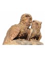 Couple of Eagle owls in terracotta