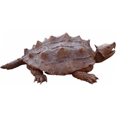 Tartaruga alligatore - Macrochelys temminckii