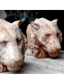 Terracotta lion head