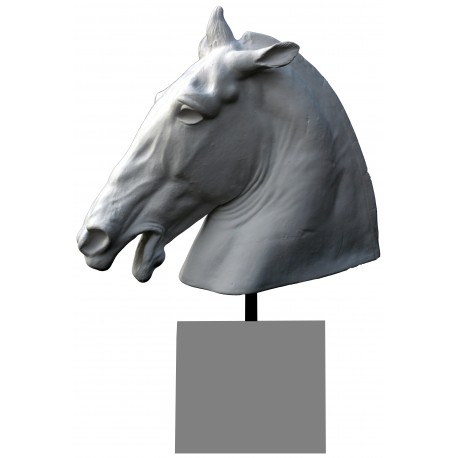 Lisippo's Horse's head plaster cast with base