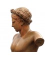 Apollo Bust with base