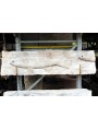 Mullet fish - Mugil cephalus in white Carrara marble