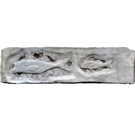 Two Mullets on white Carrara marble slab