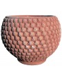Vase with Cardium edule prints