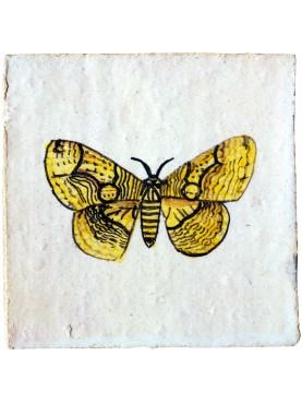 Butterfly Brahmaea hearseyi (Linnaeus, 1758) majolica tile