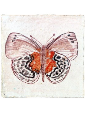 Farfalla piastrella entomologica in maiolica