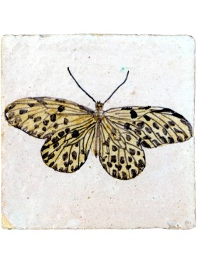 Butterfly tile entomological tiles Idaea lincea