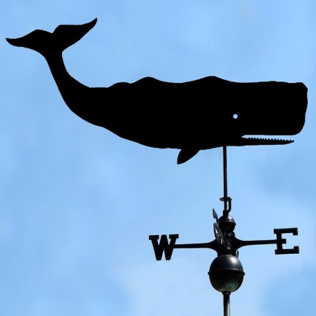 Balena "Capodoglio" banderuola tradizionale europea