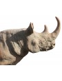 Piccolo Rinoceronte africano in terracotta