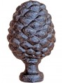 Ancient form of Pinecone from lucca