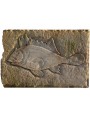 Sand stone fish