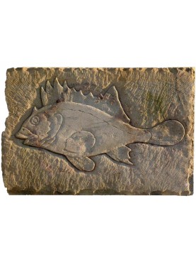 Sand stone fish