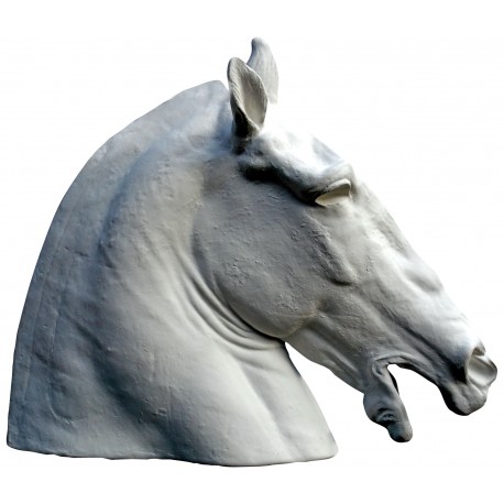 Lisippo's Horse's head - Capitolini Museum Roma