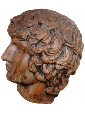 Antinoo terracotta head