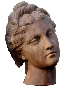 patinated terracotta roman head