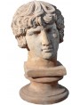 Antinoo terracotta head and base