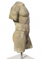 Copy of greek torso.