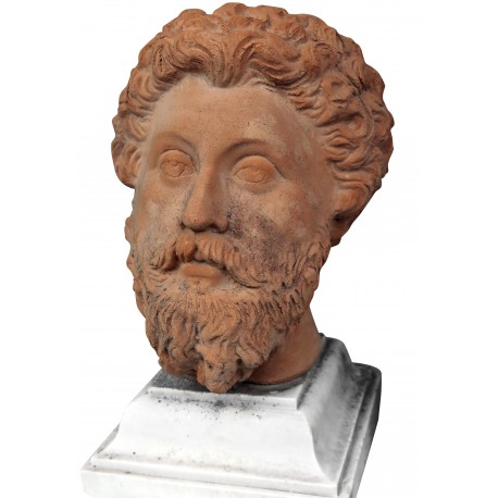 Marco Aurelio terracotta head