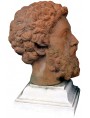 Marco Aurelio testa in terracotta patinata