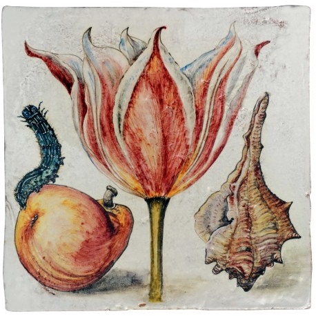 Tulipani, insetti e verme di Joris Hoefnagel