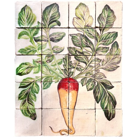 Majolica Panel long red radish - U.Aldrovandi